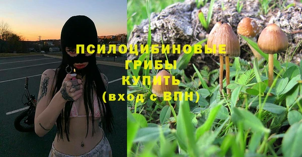 хмурый Алексин