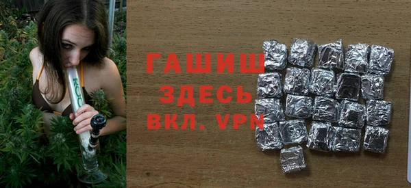 хмурый Алексин