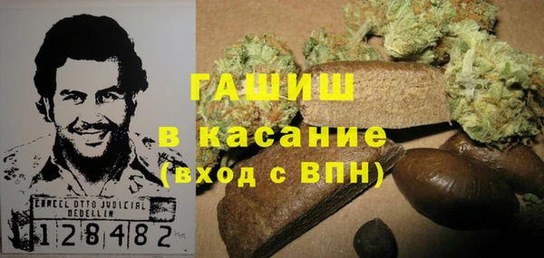 хмурый Алексин
