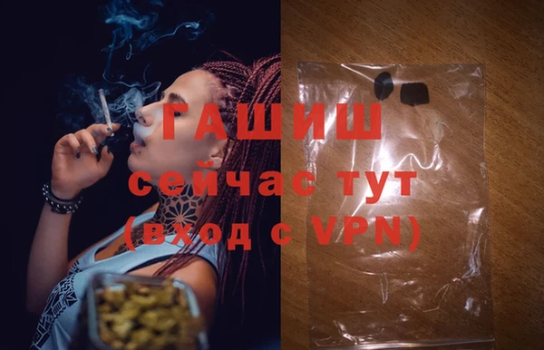 хмурый Алексин