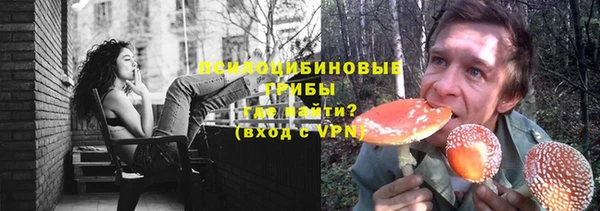 хмурый Алексин