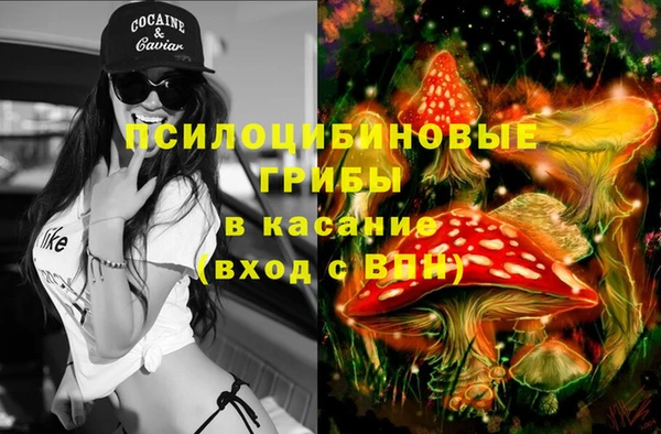 хмурый Алексин