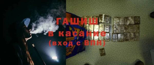 хмурый Алексин