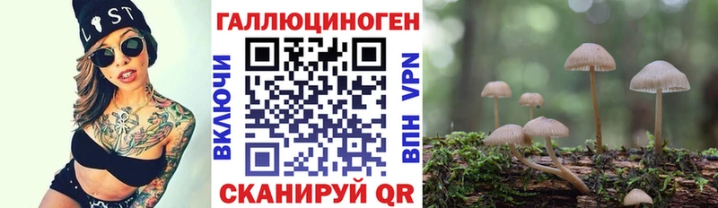 Псилоцибиновые грибы Psilocybe Канаш